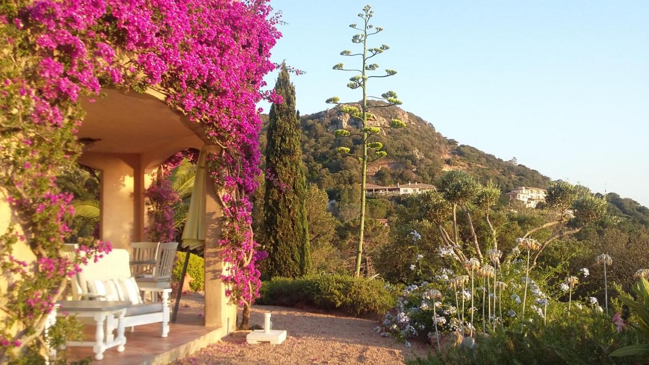 U Paradisu B&B Porto-Vecchio  Exterior foto